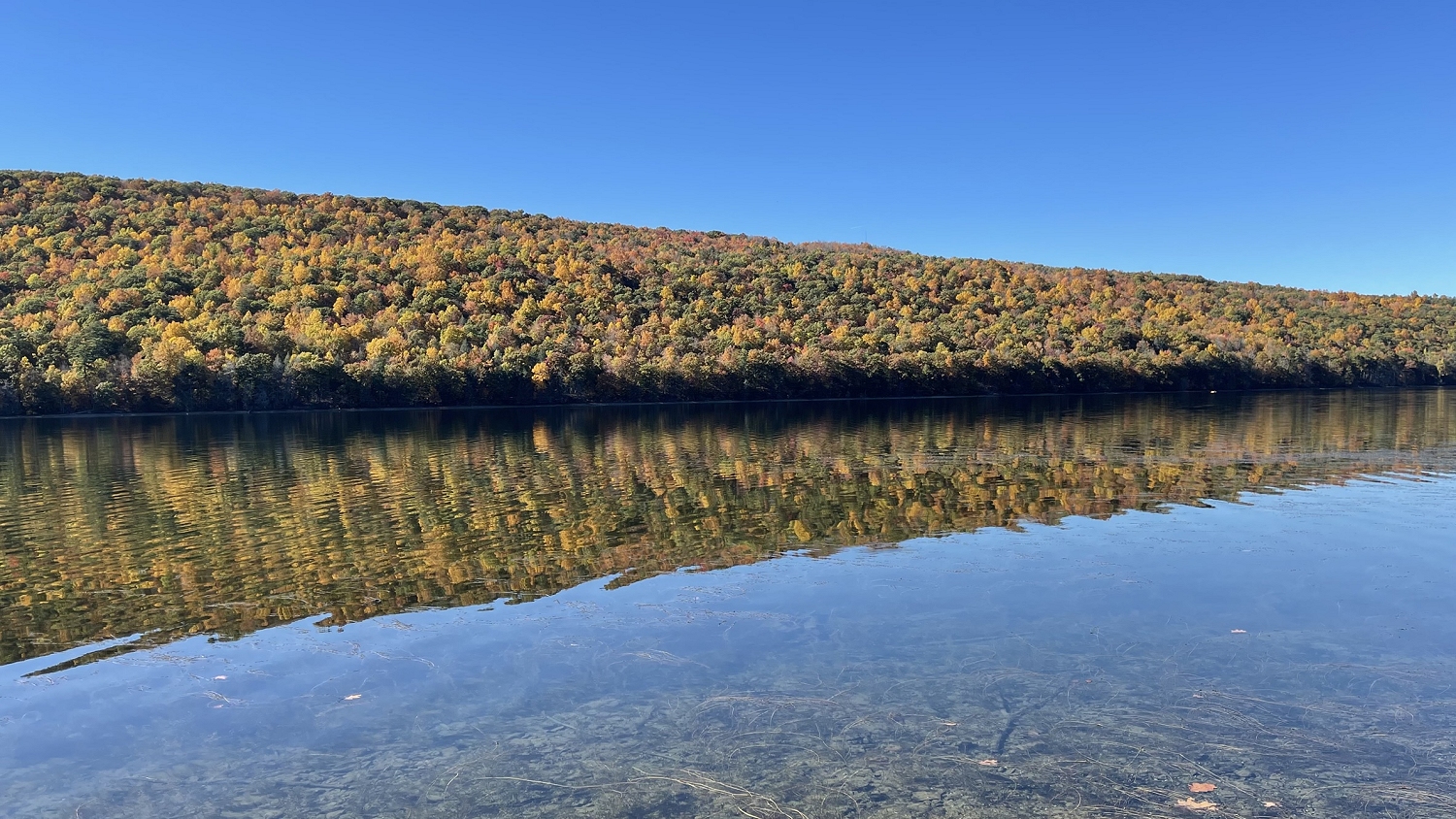 Finger Lakes Fall Foliage - Canandice