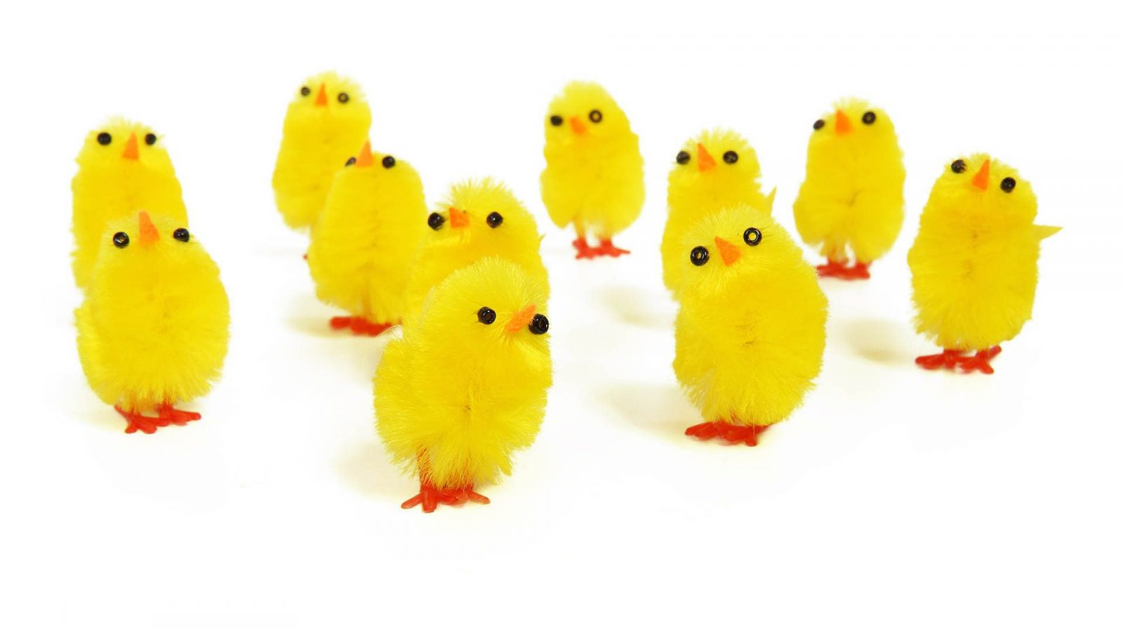 Easter Chicks