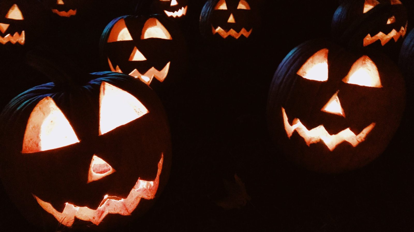 Halloween Pumpkins